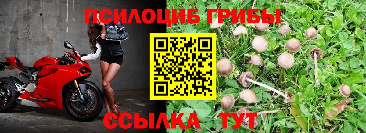 Галлюциногенные грибы Magic Shrooms  Вход с VPN  Галлюциногенные грибы ЛСД  Железноводск 