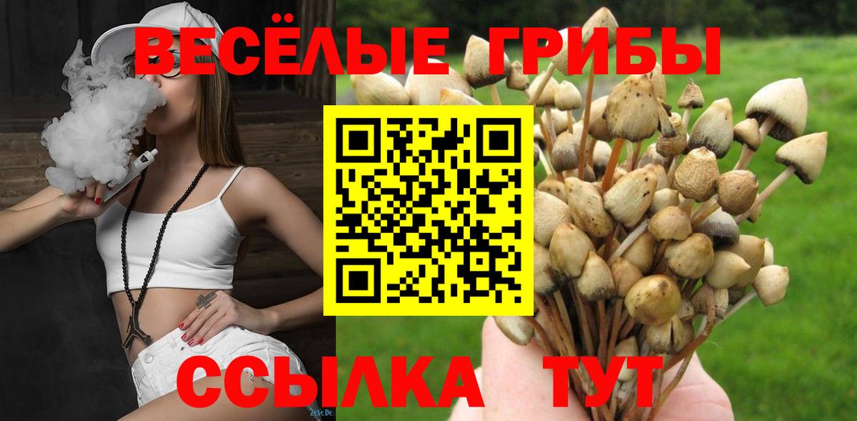 Галлюциногенные грибы Magic Shrooms Железноводск